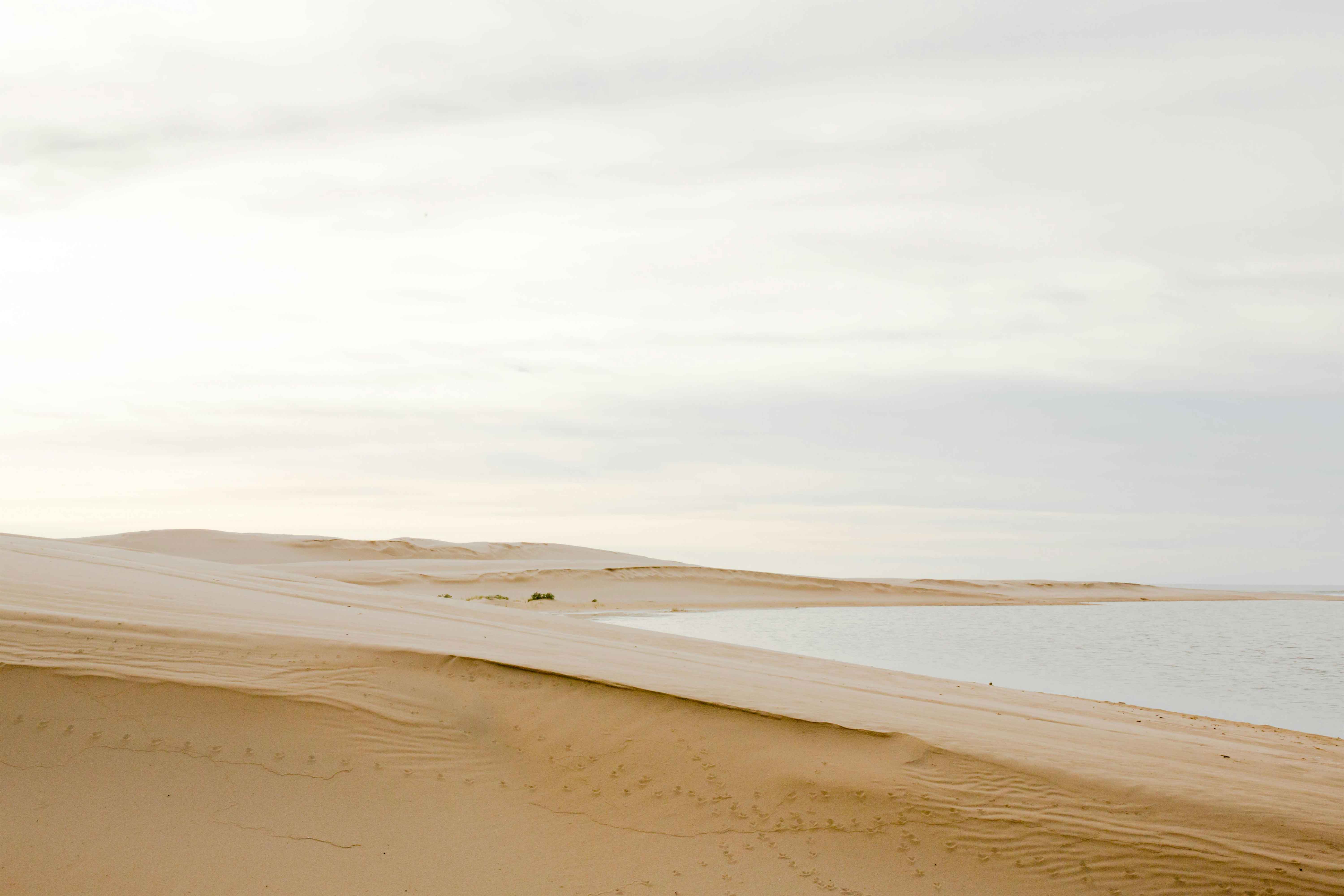 Peaceful sandy dunes overlooking a tranquil ocean under a cloudy sky