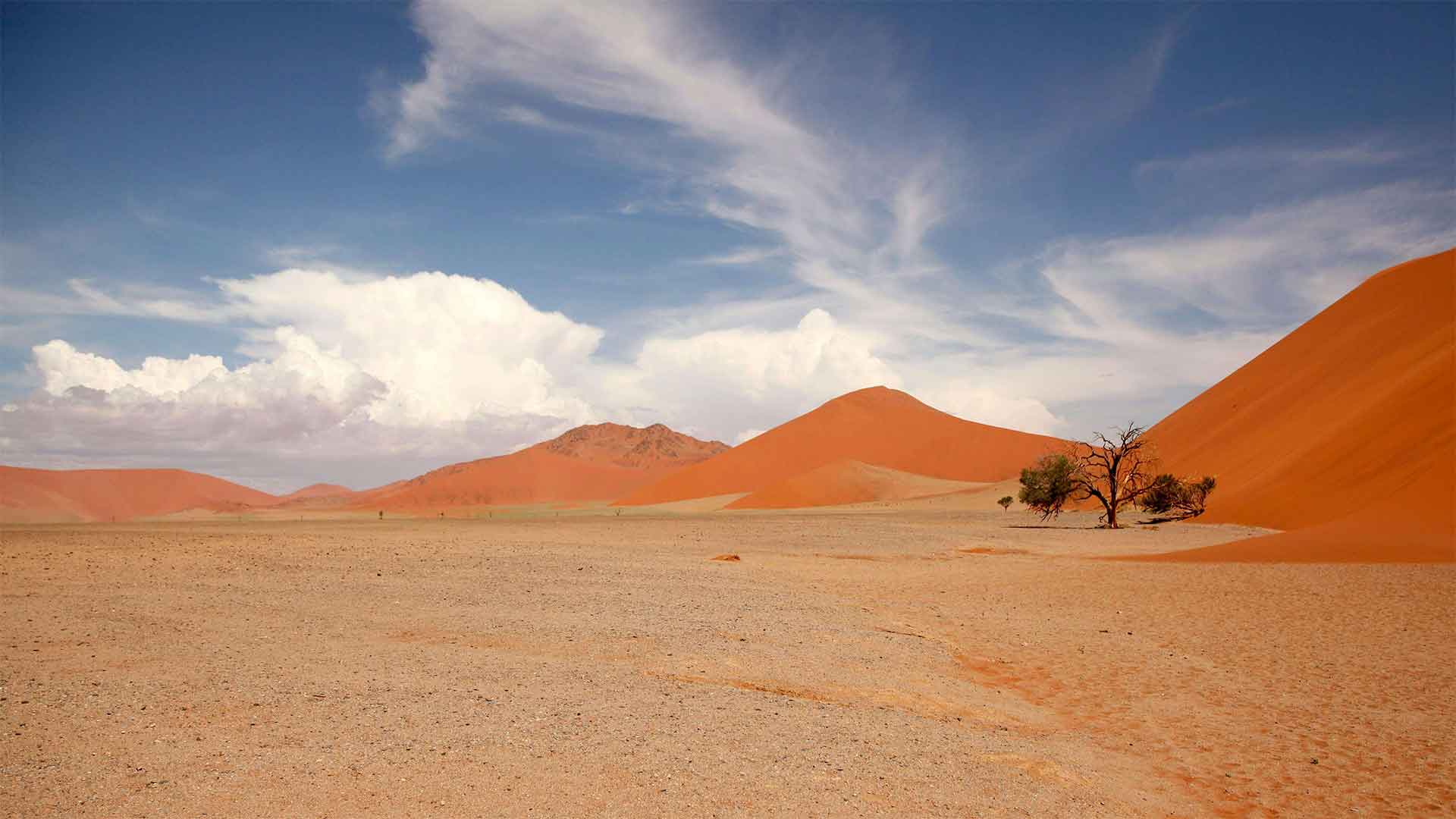 Breathtaking view of Namib Desert with towering red sand dunes and blue sky