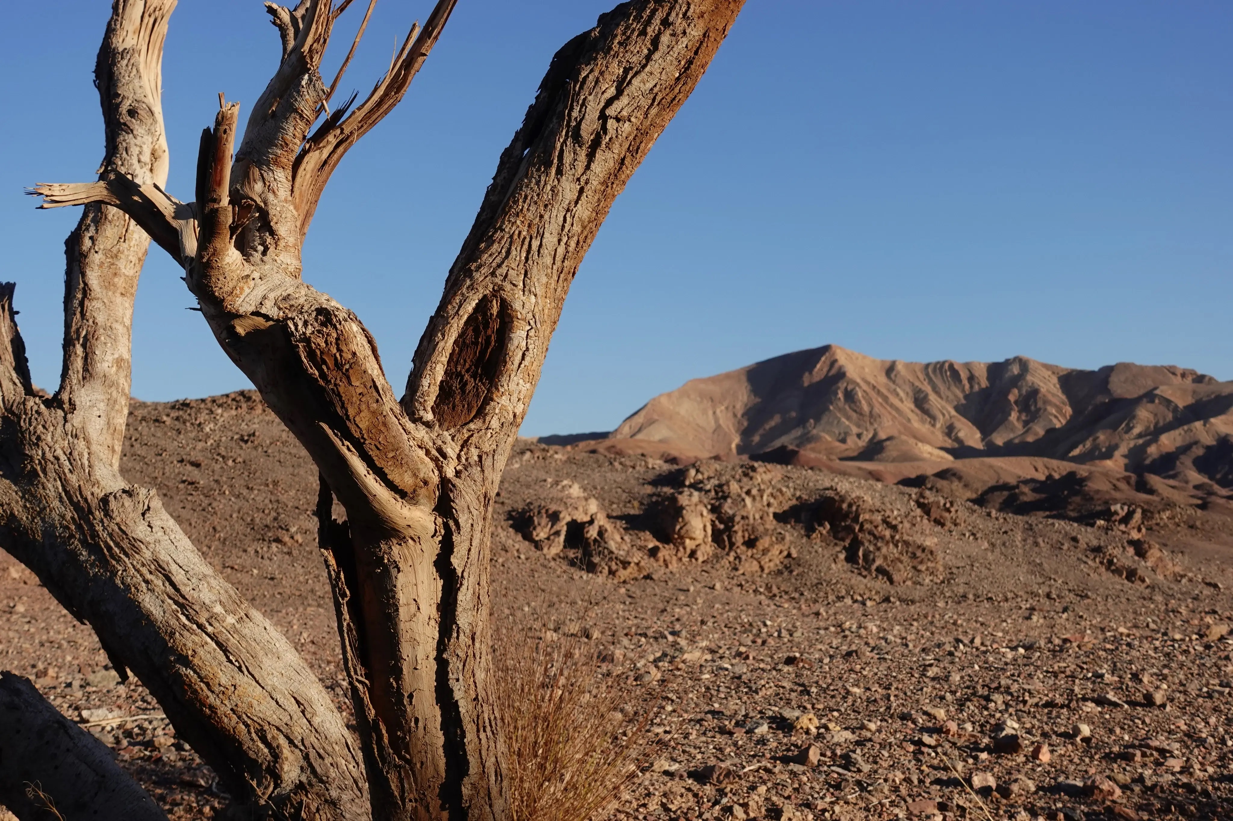 Beautiful view of Brandberg Mountain