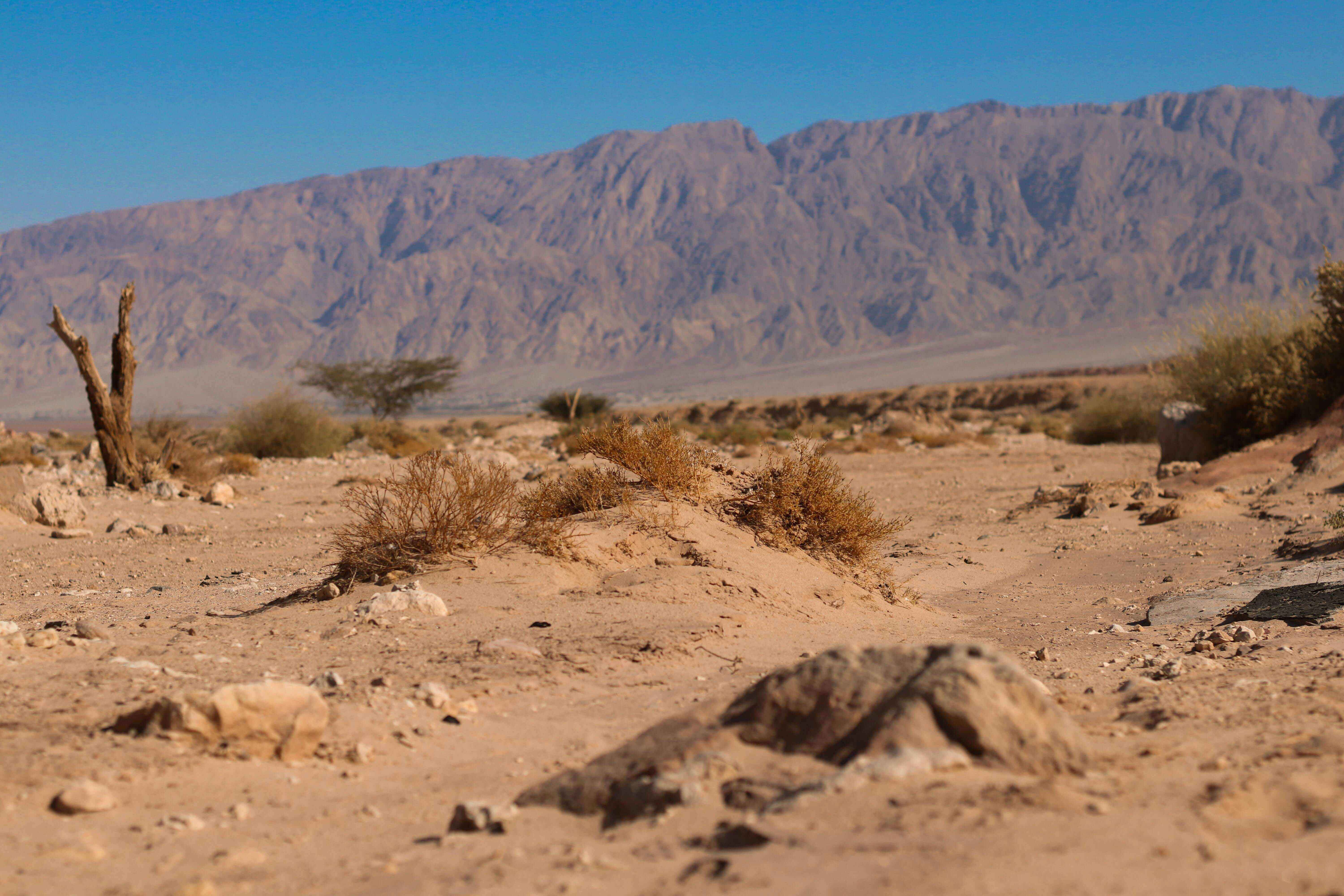 A vast, dry desert landscape with rugged mountains in the distance