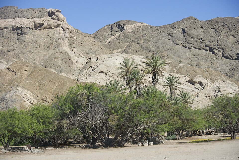 Goanikontes oasis in the Namib Desert landscape