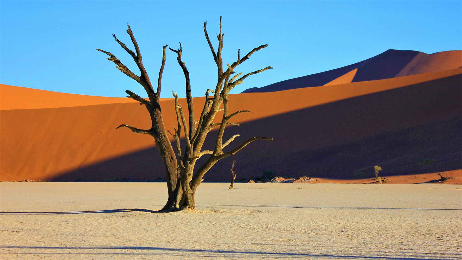 Panoramic view of Sossusvlei desert landscape