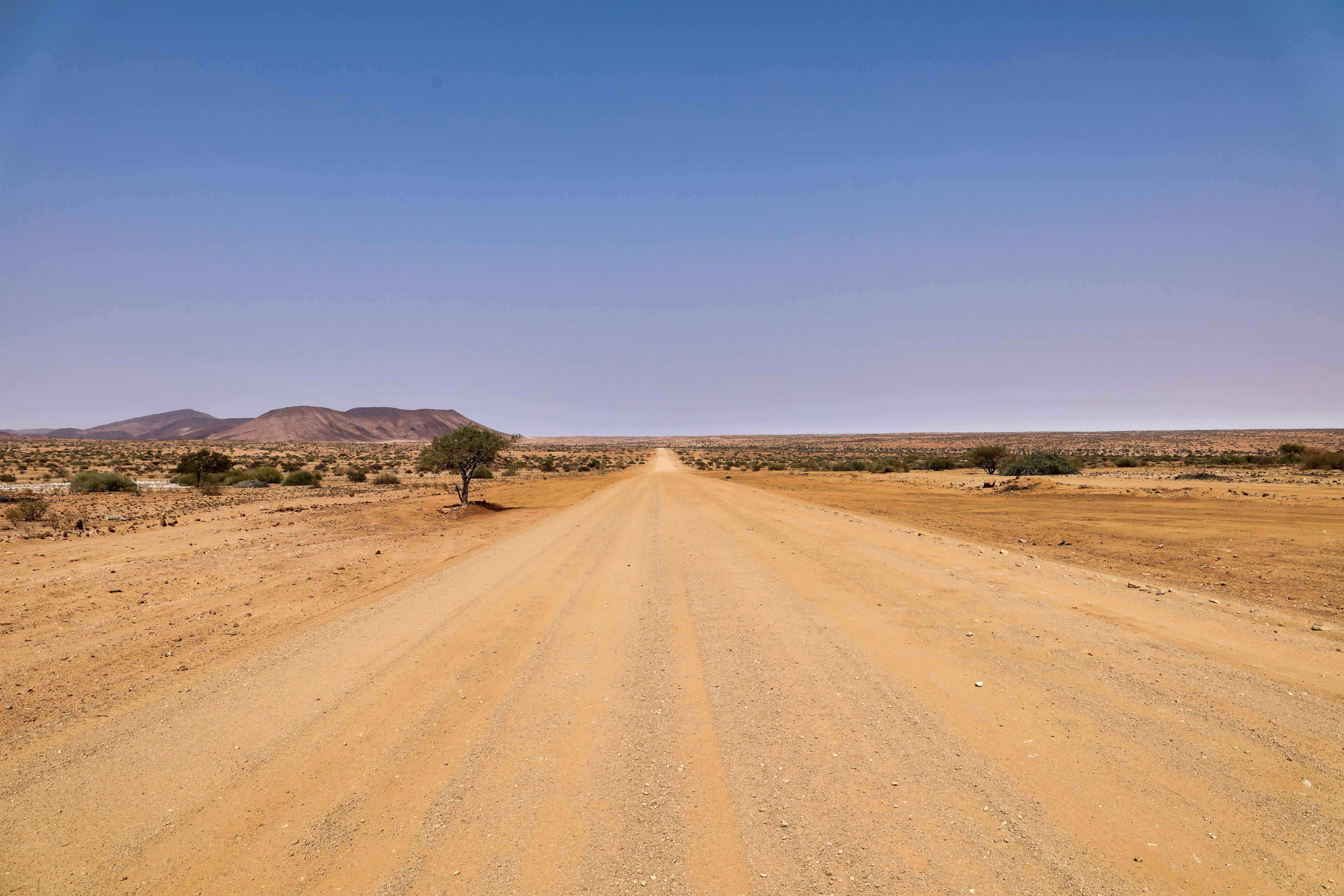 Etosha wildlife safari