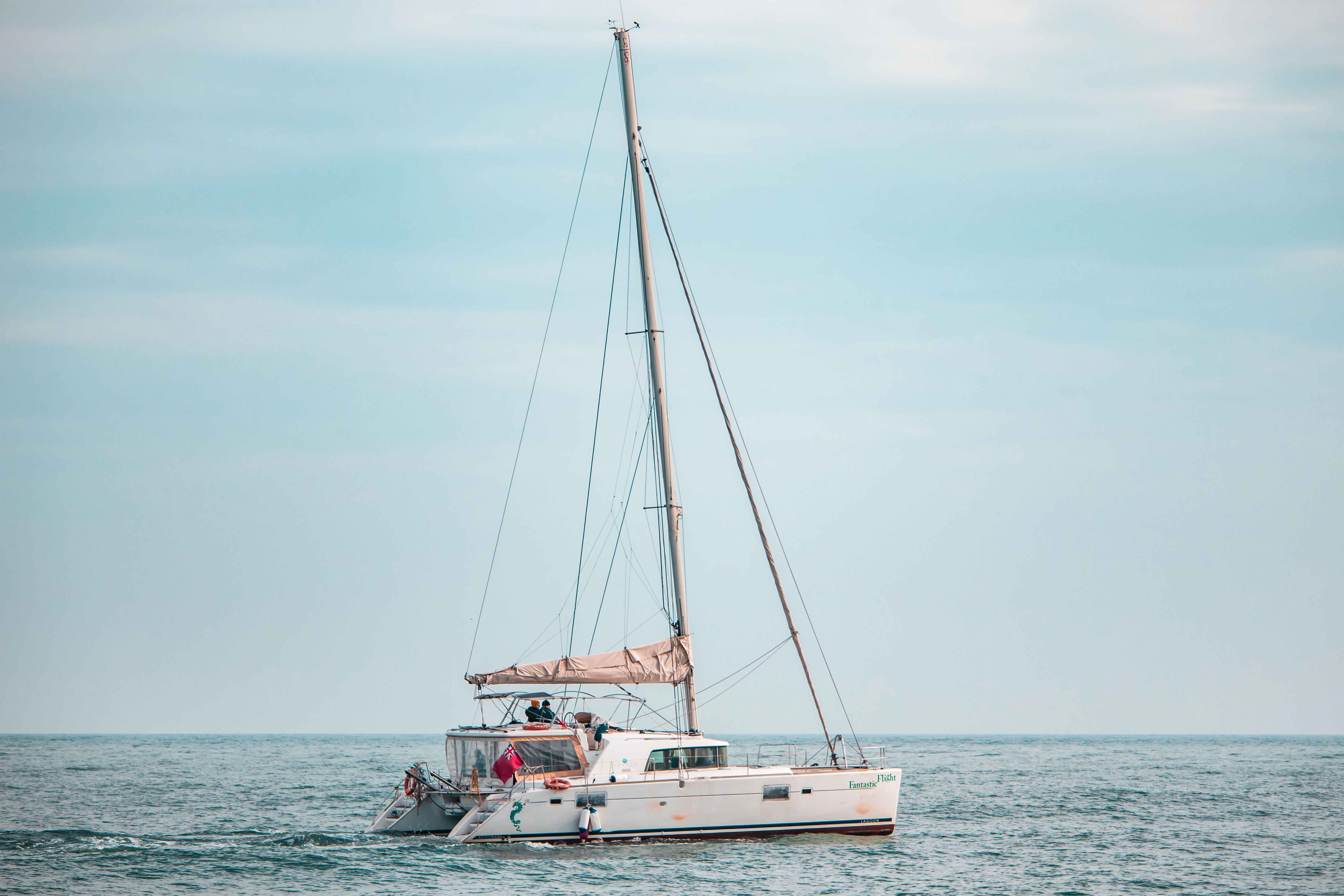 Walvis Bay catamaran cruise with dolphins