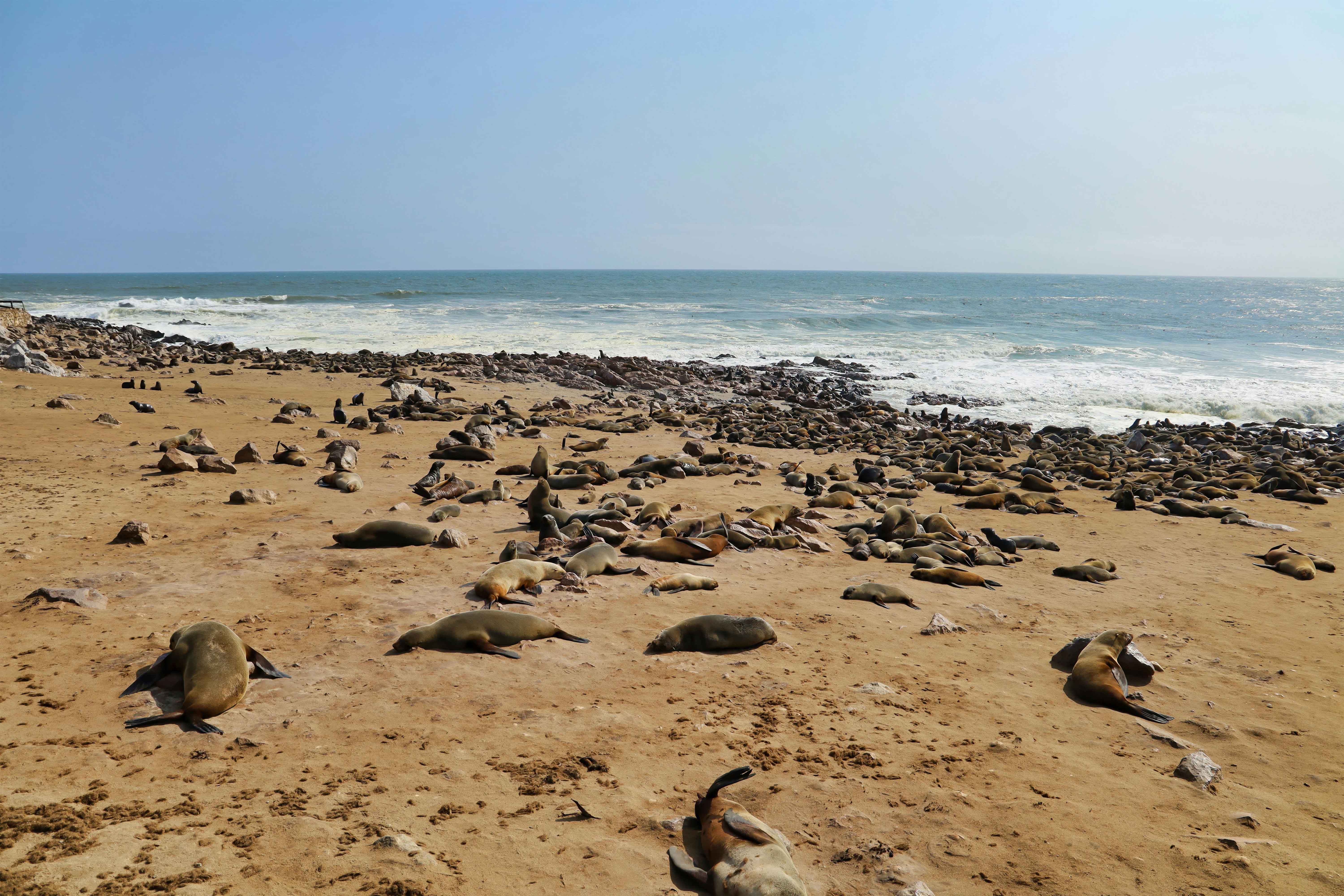 Sandwich Harbour landscape