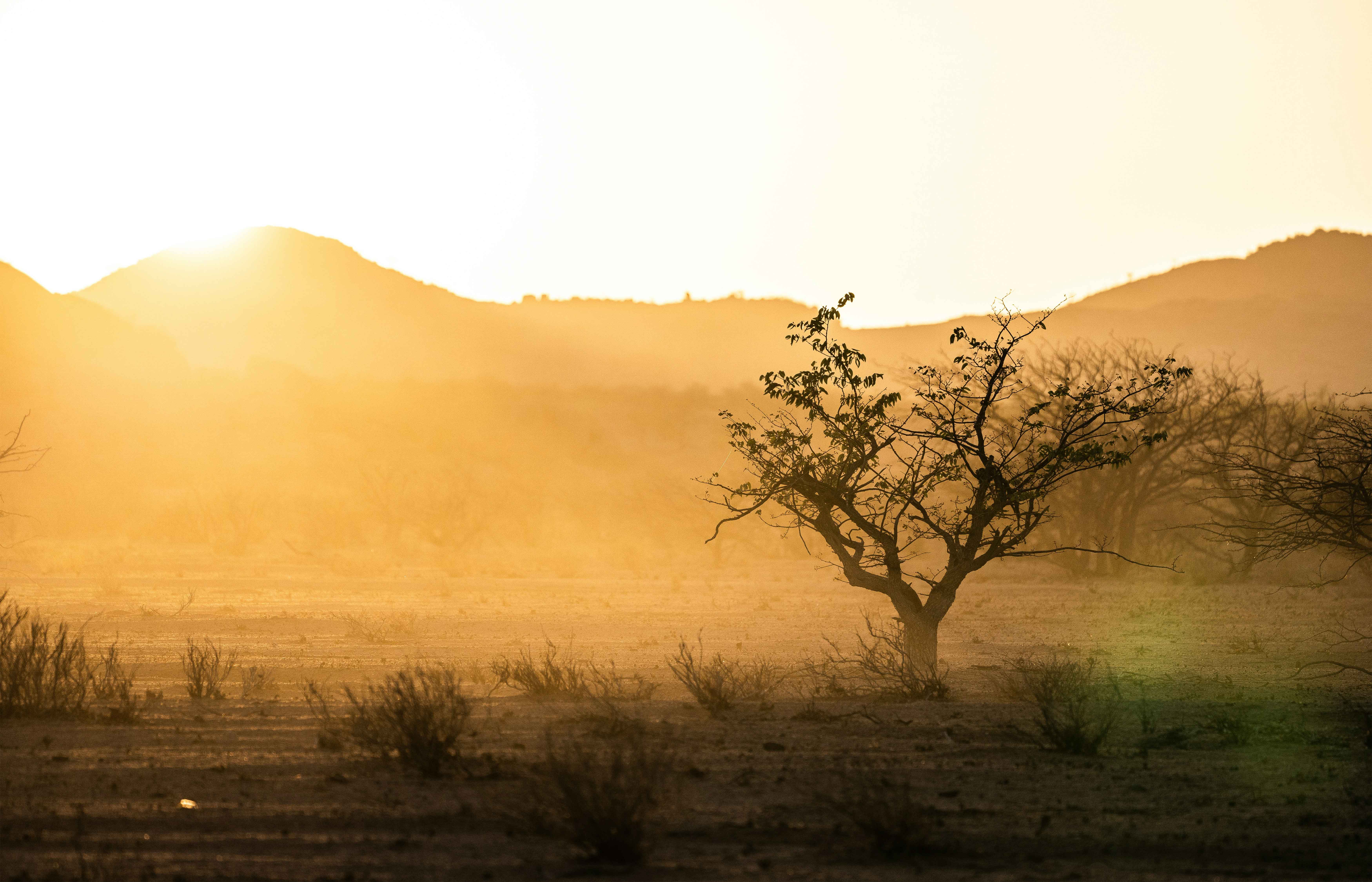 Hot days exploring the arid land of Damaraland, Namibia. There is such beauty in this harsh, dry climate. February 2020.