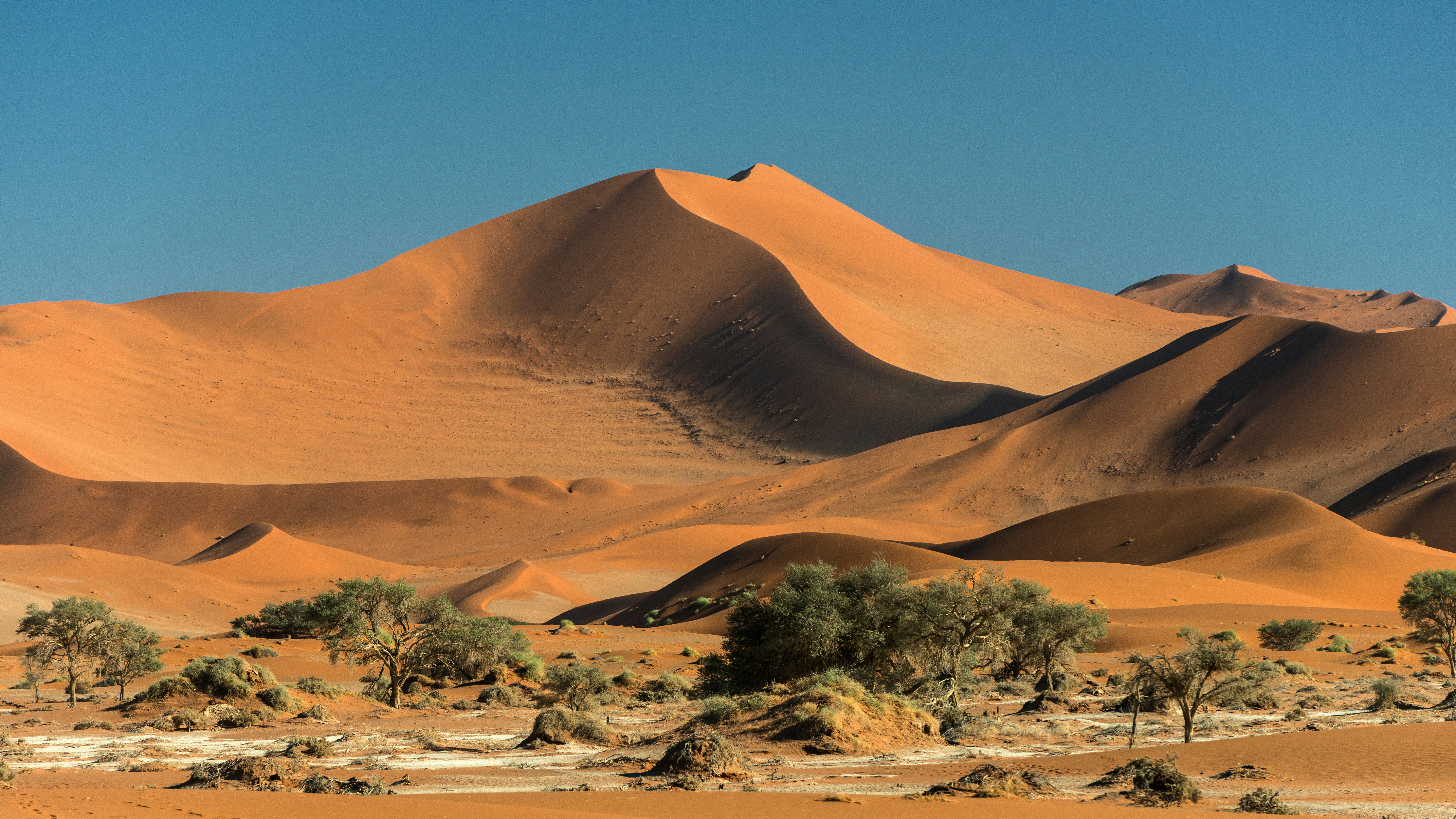 Andrew Svk-Namib desert, home of the largest dunes in the world