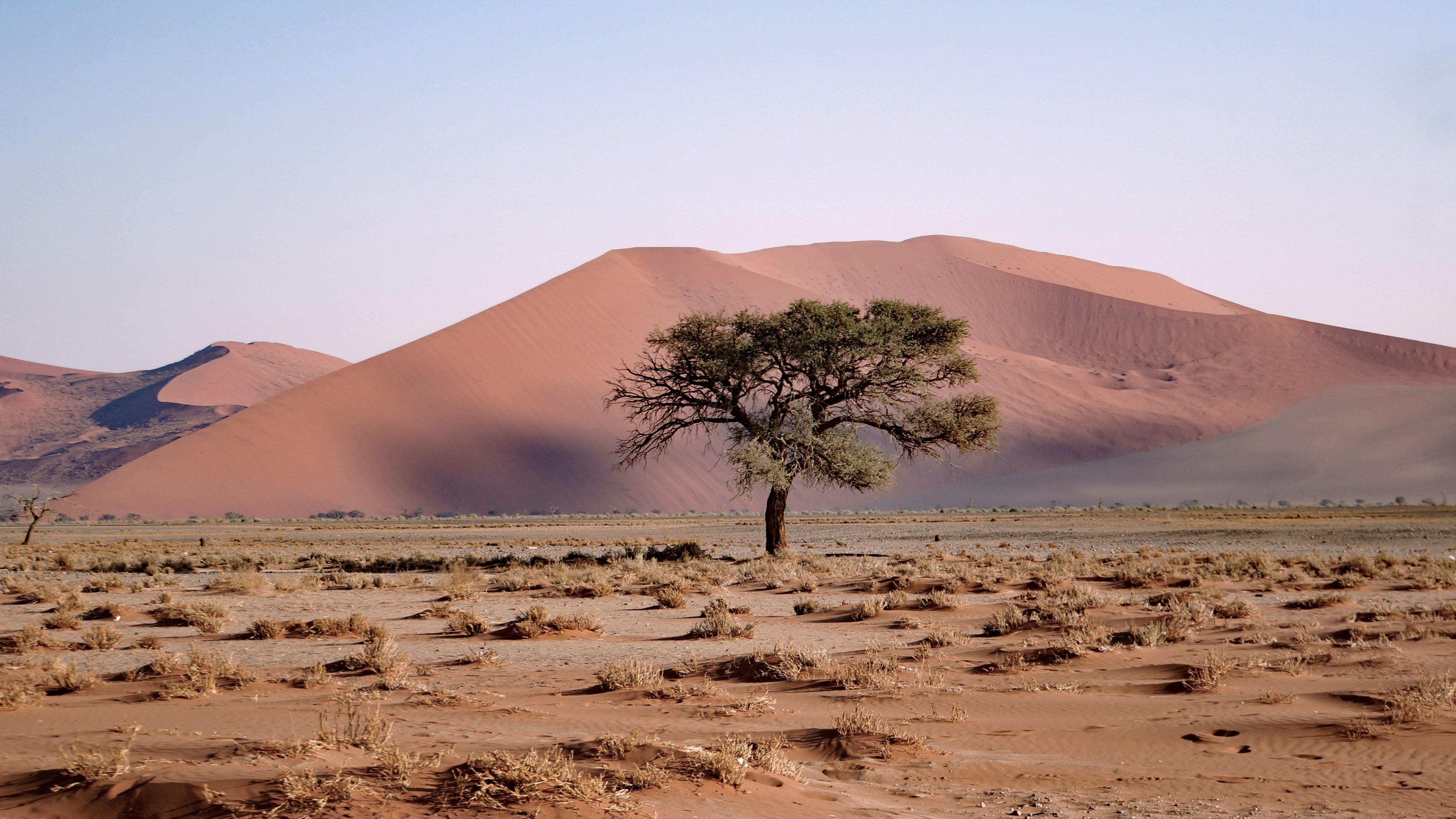 Namib Desert