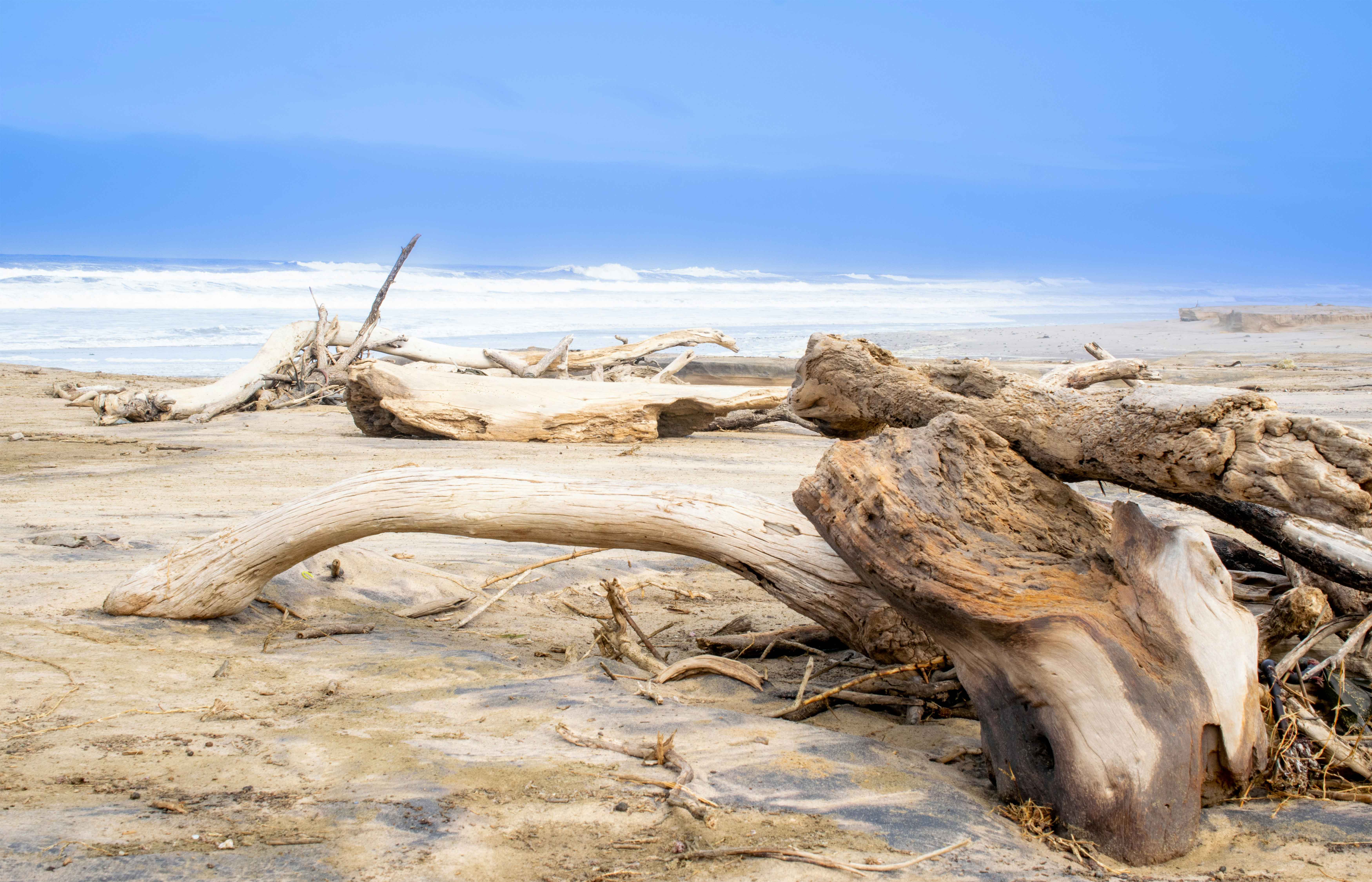 Skeleton Coast, Namibia