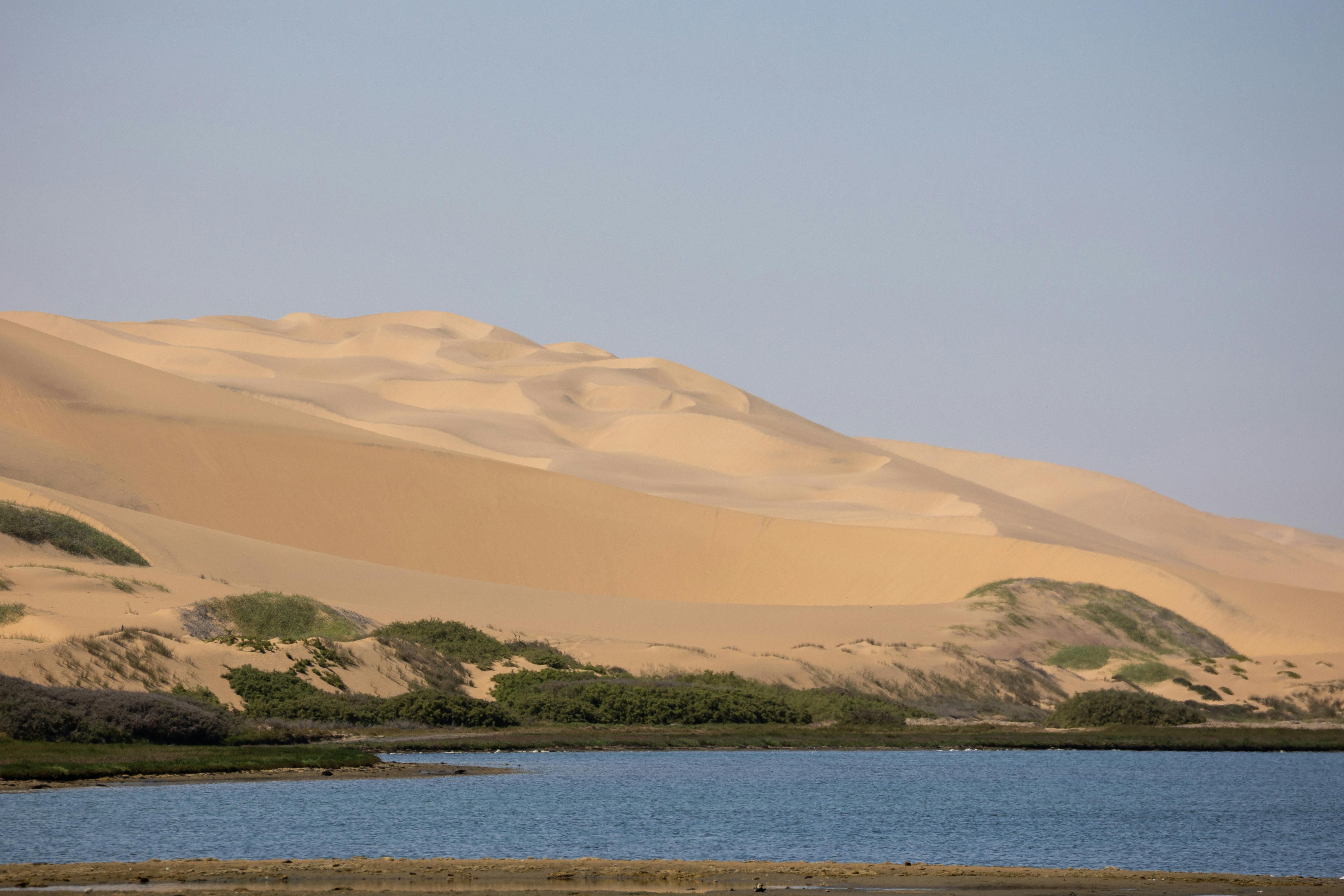 Breathtaking view of Namib sand dunes meeting a serene water body under clear skies