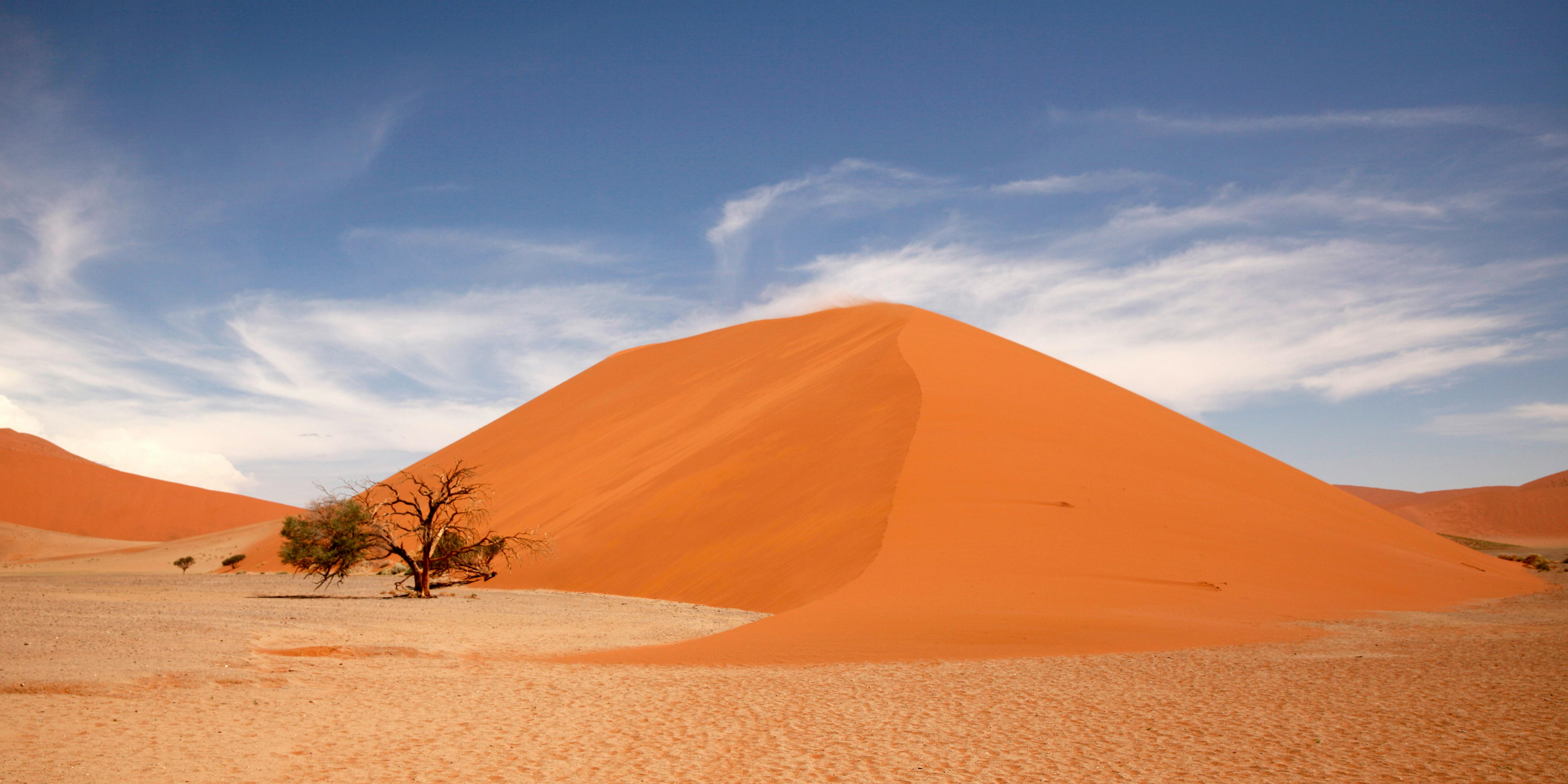 Stunning view of a towering sand dune and solitary tree in Namibia arid desert