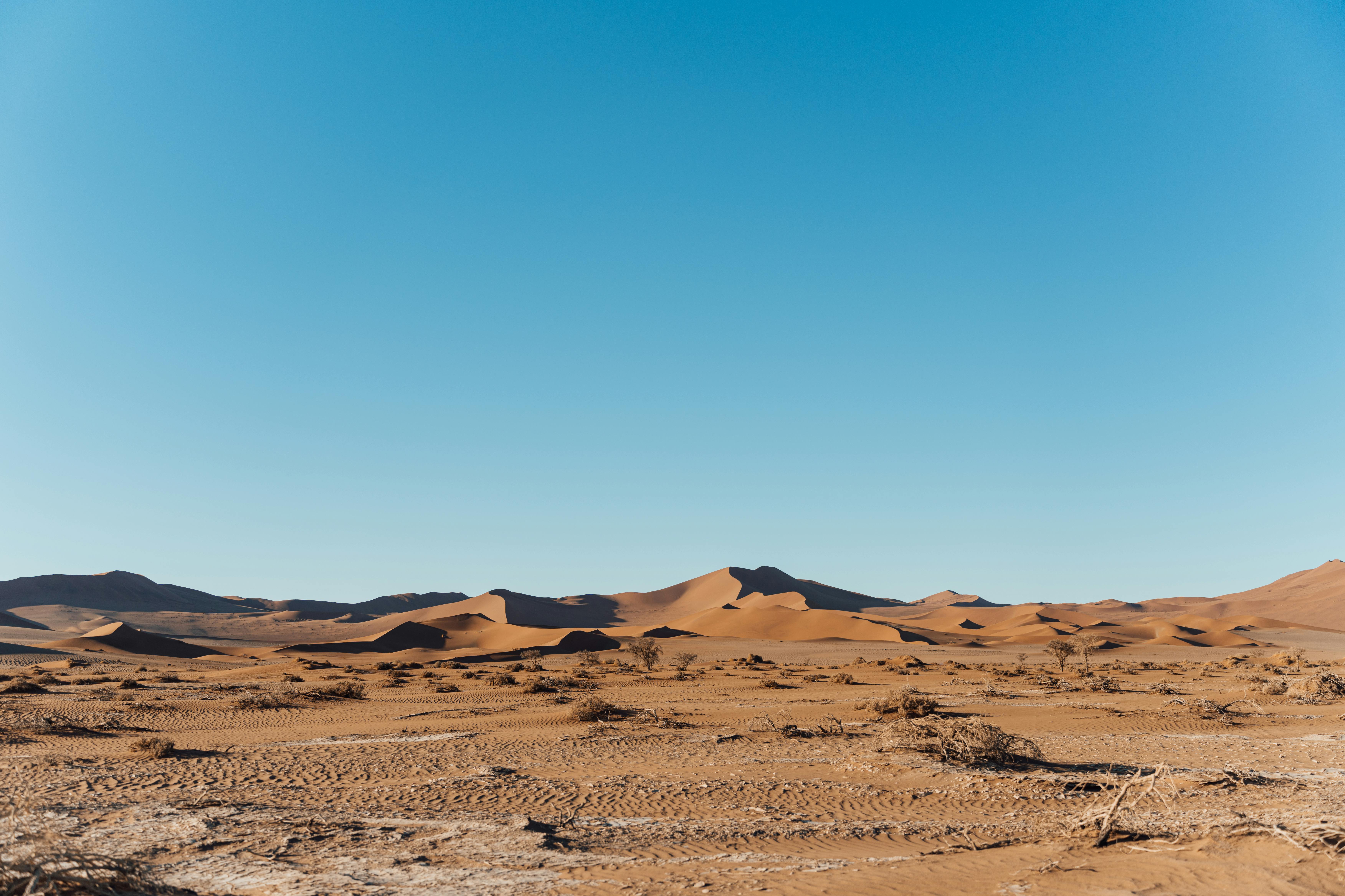 Explore the expansive sand dunes under a clear blue sky in the Namib Desert