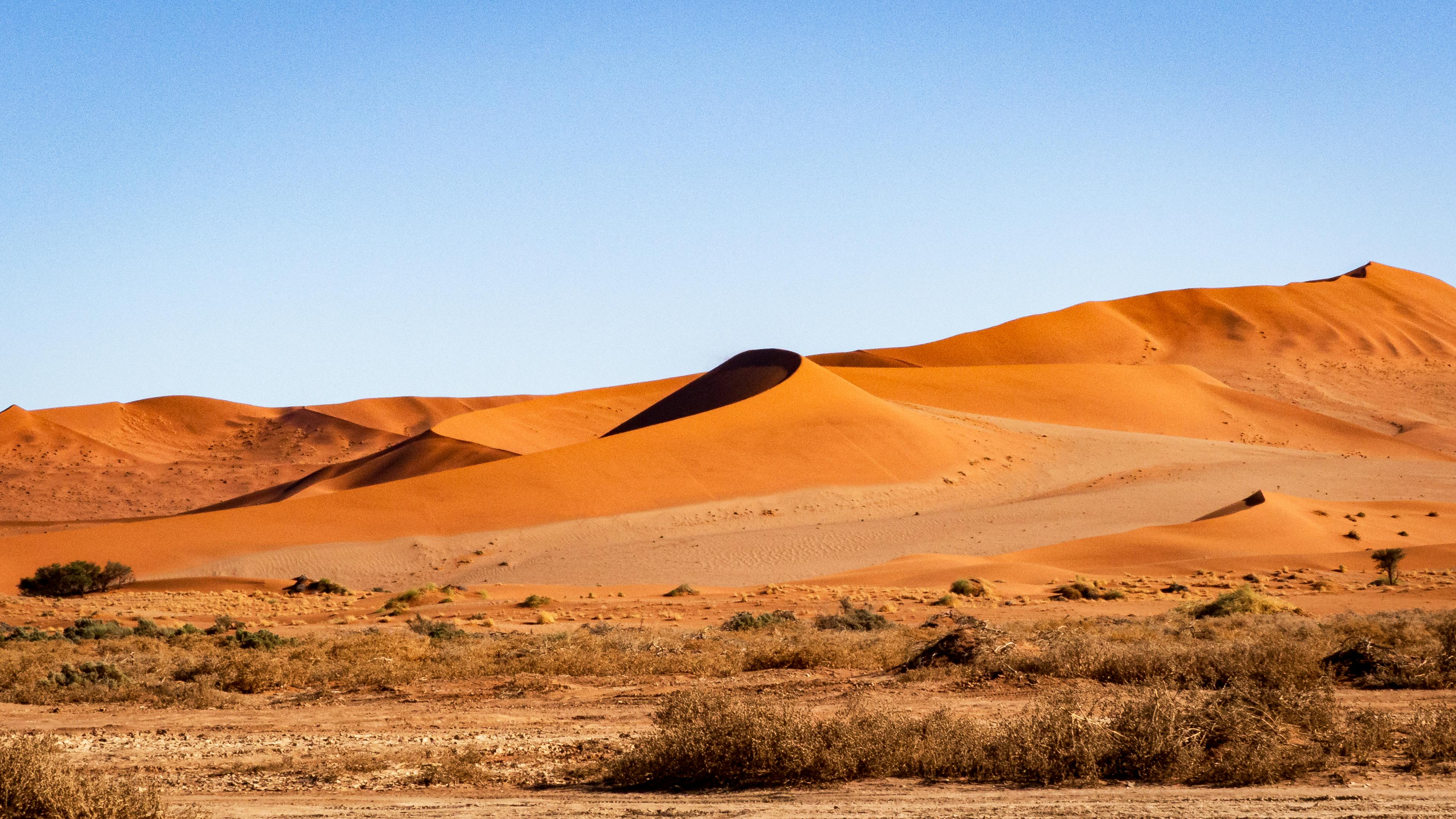 Explore the serene beauty of expansive sand dunes beneath a clear blue sky