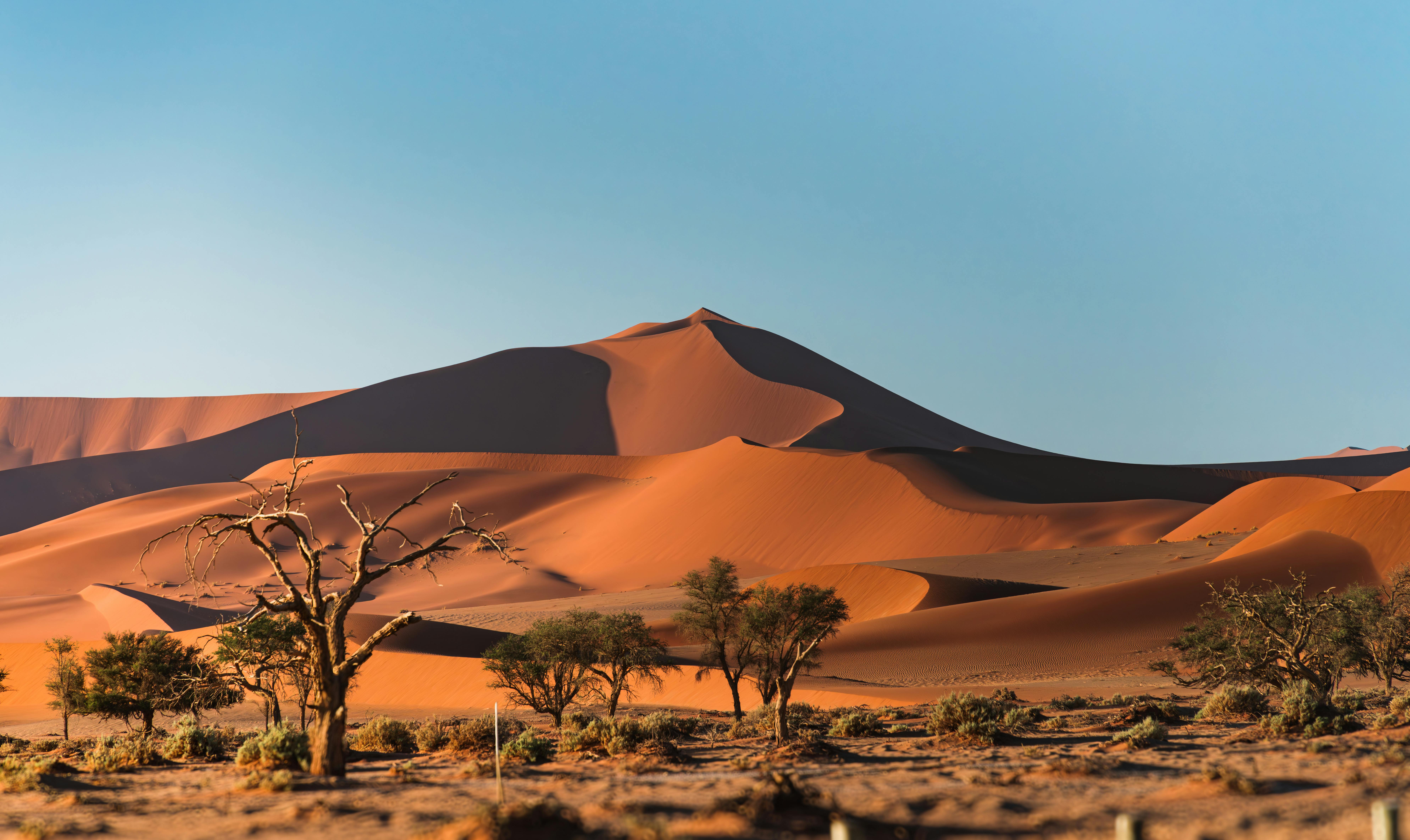 Captivating view of towering sand dunes under a clear blue sky in a desert