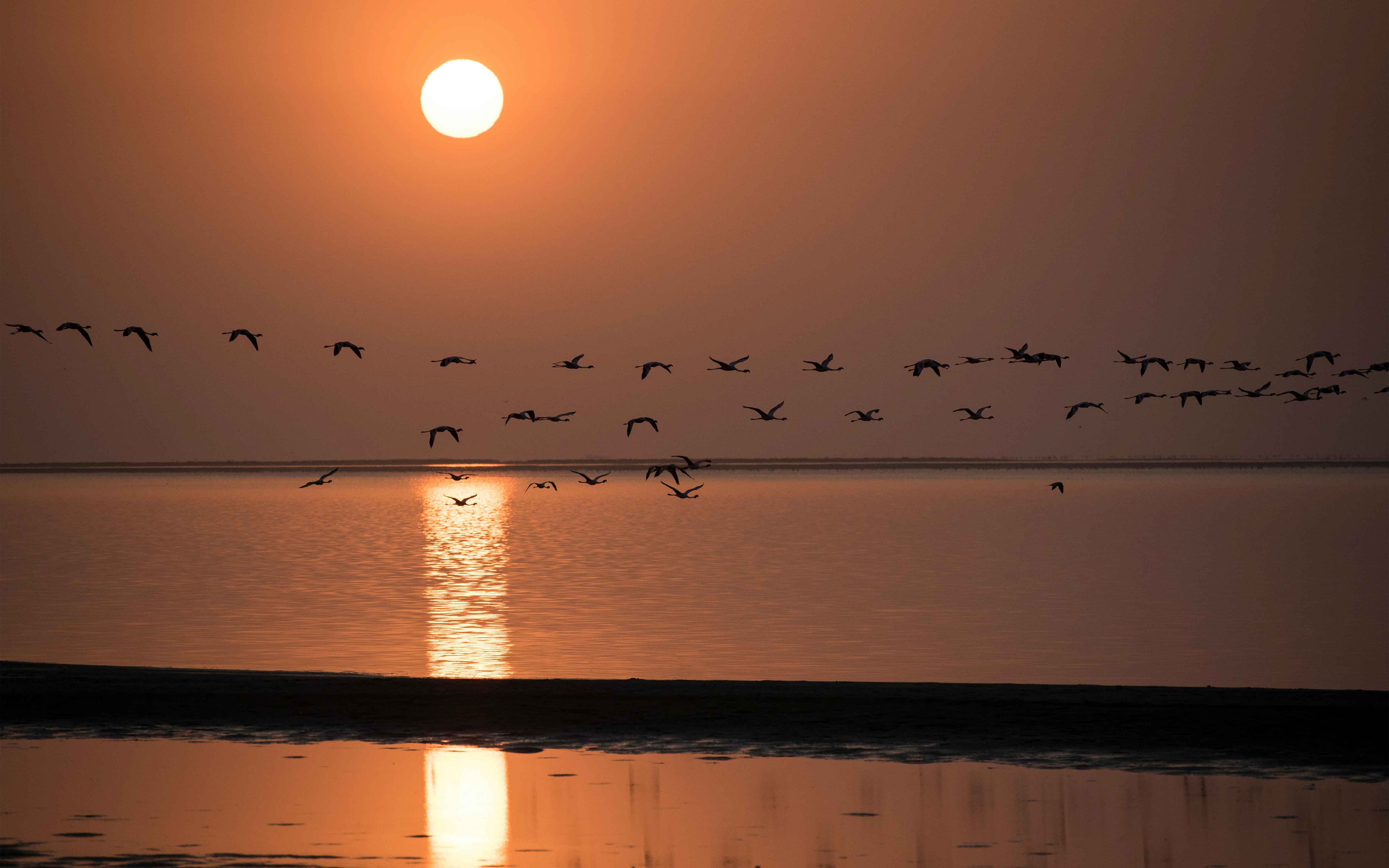 Serene sunset over Walvis Bay with silhouettes of flying birds